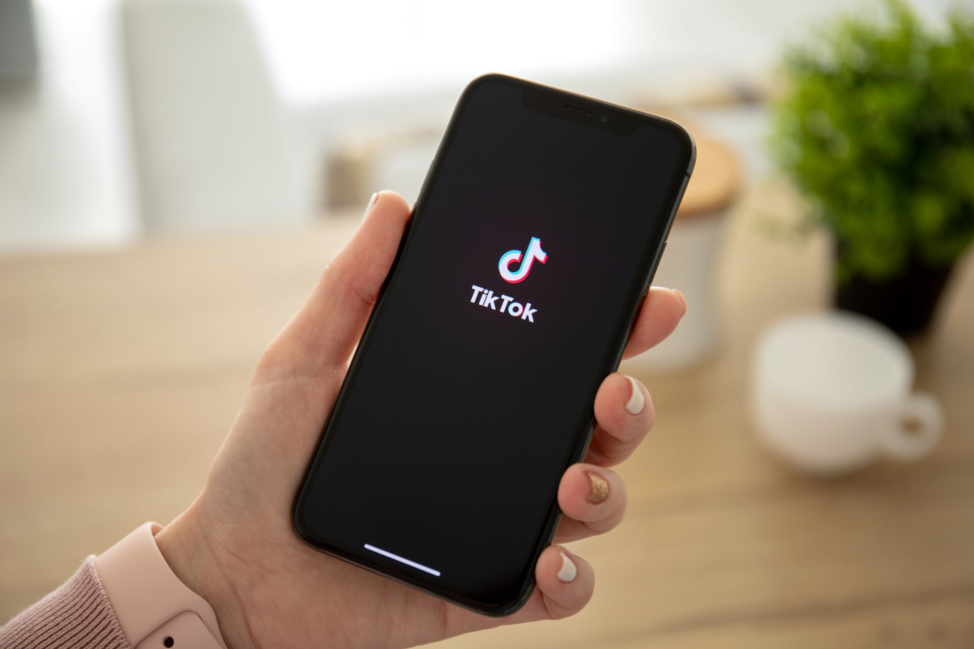 TikTok Der Ultimative Guide Um TikTok F r Dein Business Zu Verwenden